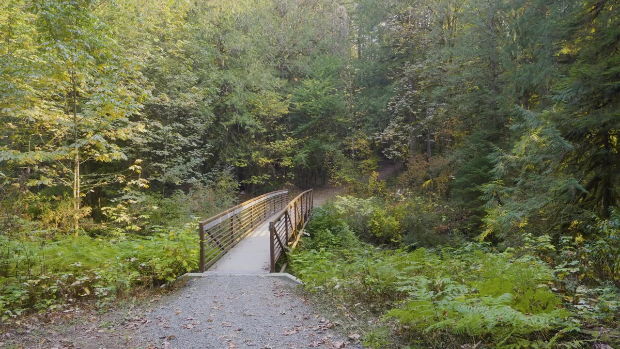 Caminata: Maple Creek