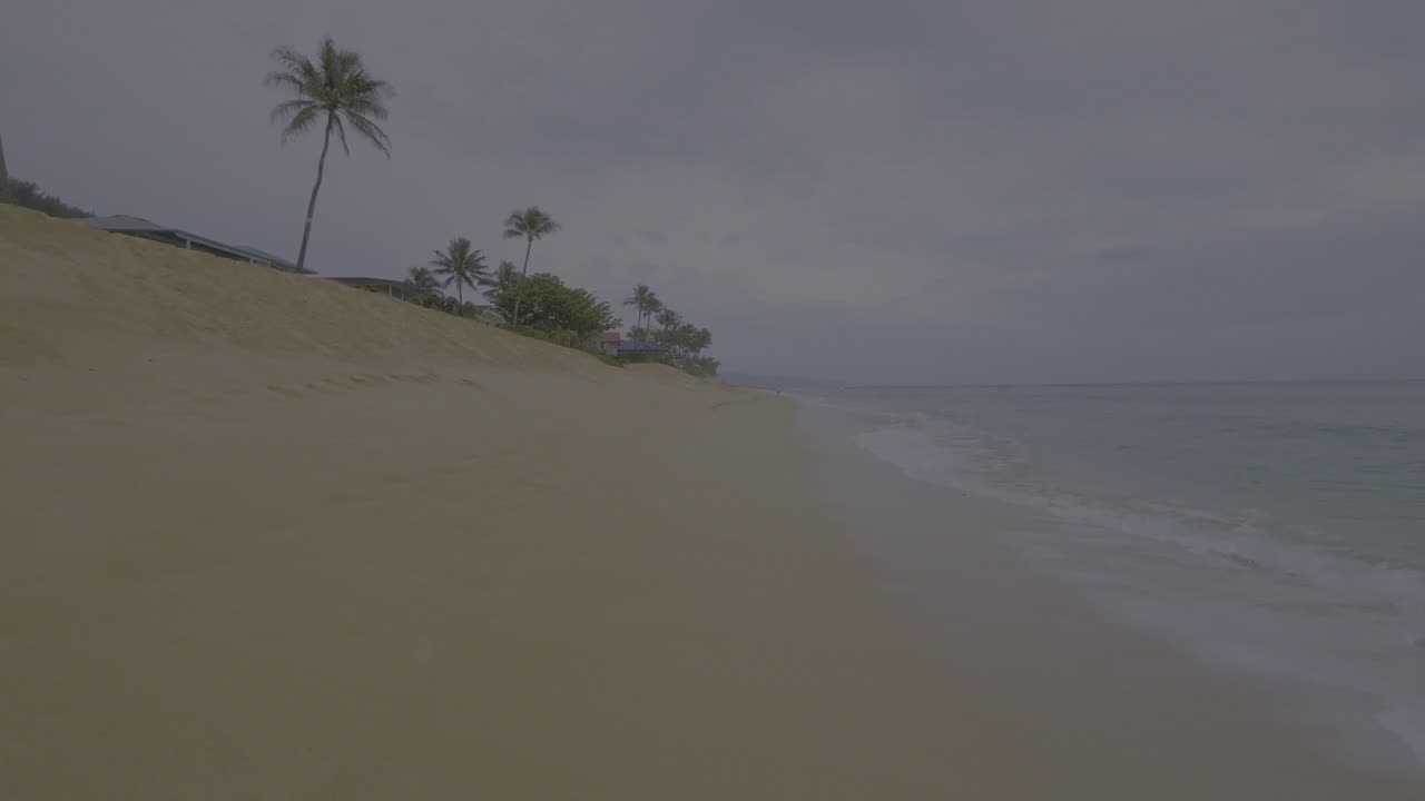 Caminata: Playa al atardecer