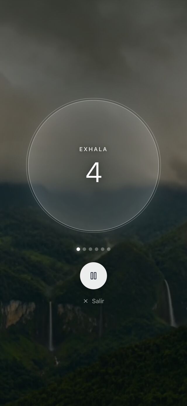 La aclimatación: respiración guiada (enfoque, calma o energía) para hacer una pausa antes de seguir subiendo.