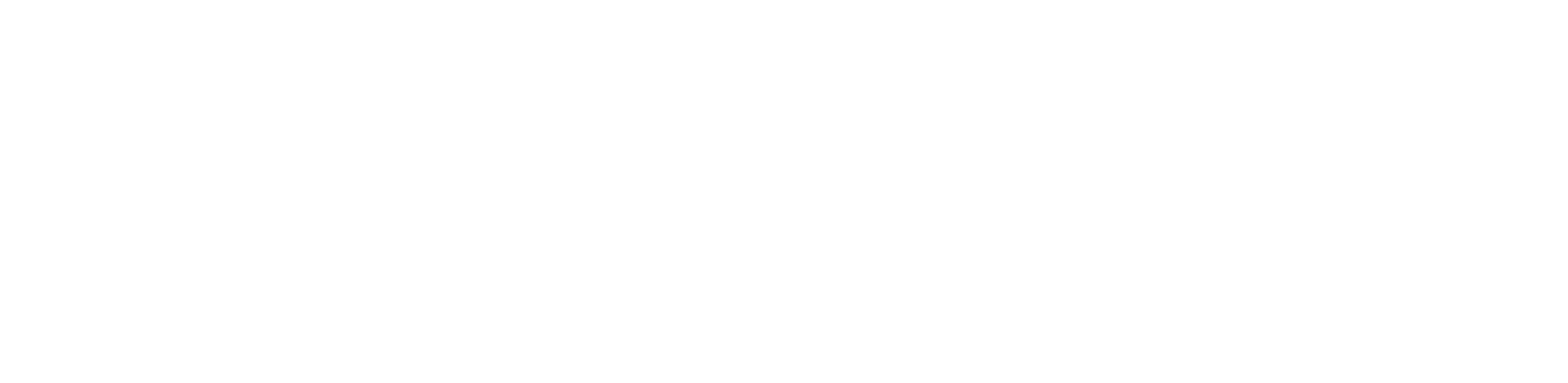 Logo horizontal, blanco